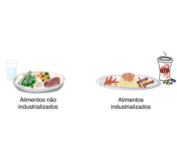 Alimentos ultraprocessados